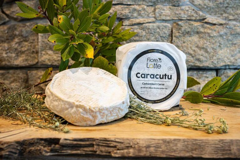 Camembert de chèvre Corse - Caracutu - Fiore di Latte